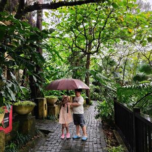 Melia Bavi Mountain Retreat
