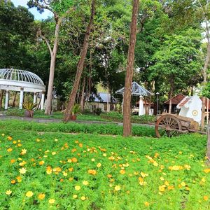 Minera Bình Châu Hot Spring Resort