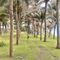 Duyên Hà Resort Cam Ranh