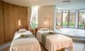 Vui chơi giải trí, Spa