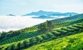 Hình khách sạn
