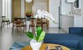 1 Bedroom Suite Pavilion, Private Pool, Ocean View