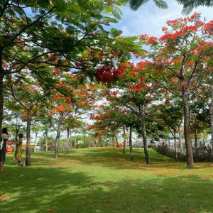 TTC Vân Phong Bay Resort Dốc Lết