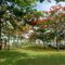 TTC Vân Phong Bay Resort Dốc Lết