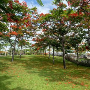 TTC Vân Phong Bay Resort Dốc Lết