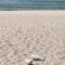 Seahorse Resort & Spa Phan Thiết