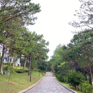 Terracotta Đà Lạt Hotel & Resort