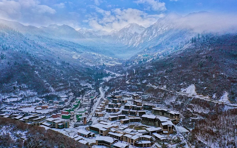 Tổng quan