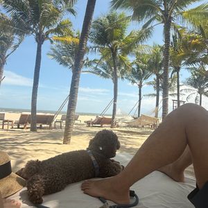 Melia Hồ Tràm Beach Resort