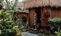 Các tiện ích và hoạt động