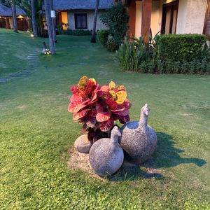 Terracotta Resort Mũi Né - Phan Thiết