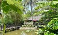 Hồ bơi