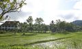 Tổng quan