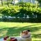 Vinpearl Cửa Sót Beach Resort Affiliated by Melia
