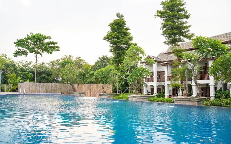 Tổng quan