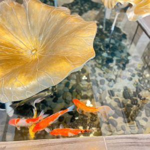 Khách sạn Melia Vinpearl Thanh Hóa
