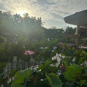 Fleur De Lys Resort & Spa Long Hải