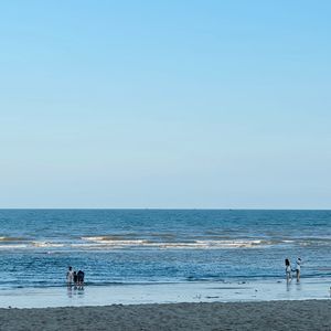 Lan Rừng Beach Resort Phước Hải