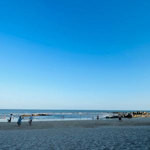 Lan Rừng Beach Resort Phước Hải