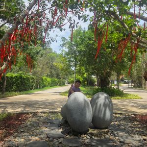 Minera Bình Châu Hot Spring Resort