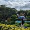 Tea Resort & Spa Bảo Lộc
