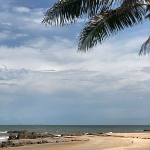 Lan Rừng Beach Resort Phước Hải