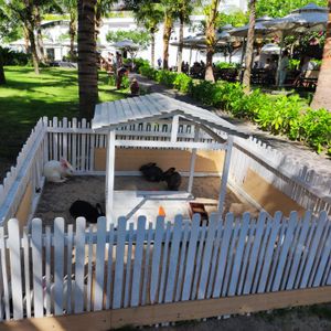 Muine Bay Resort