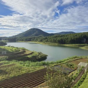 Dalat Wonder Resort
