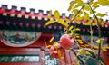 Tổng quan