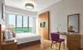 1-Bedroom Executive