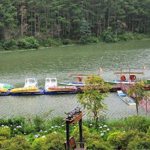Dalat Edensee Lake Resort & Spa
