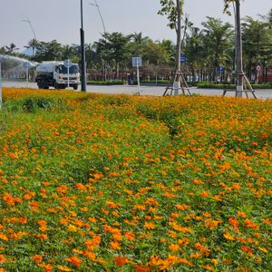 Khách sạn Novotel Hạ Long