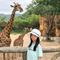 Vinpearl Nha Trang Bay Resort & Spa