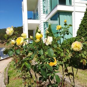 Dalat Wonder Resort