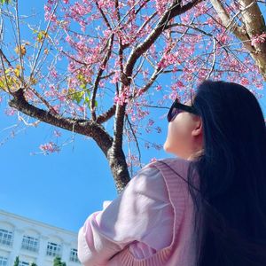 Khách sạn Ngọc Phát Đà Lạt