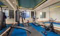 Wellness-phòng gym
