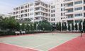 Tổng quan