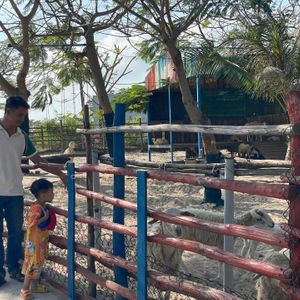 TTC Vân Phong Bay Resort Dốc Lết