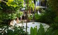 Zen Garden
