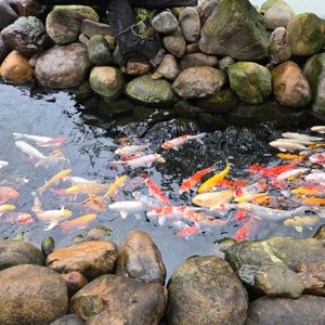 KOBI Onsen Resort Huế Affiliated by Melia