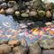 KOBI Onsen Resort Huế Affiliated by Melia