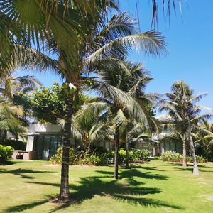 IXORA Hồ Tràm by Fusion
