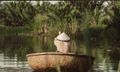 Spa + Hoạt động