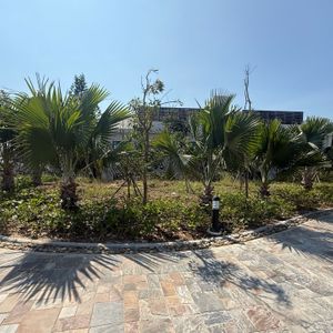 Edensee Kê Gà Beach Resort
