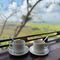 Khách sạn Victoria Nui Sam Lodge