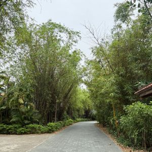 Emeralda Ninh Bình Resort