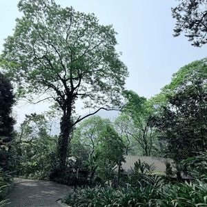 Melia Bavi Mountain Retreat