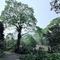Melia Bavi Mountain Retreat