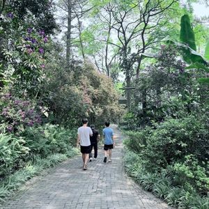 Melia Bavi Mountain Retreat