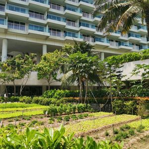 Alma Cam Ranh Resort - Nha Trang
